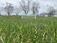IMG_1890