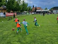 IMG_4530