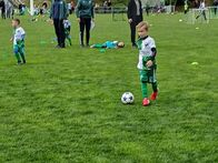IMG_4535