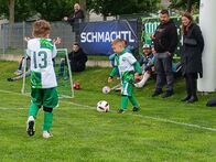 IMG_4537