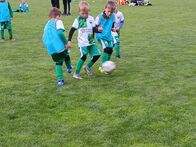IMG_4539