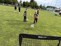 IMG_5946