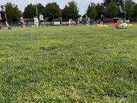 IMG_5957