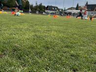 IMG_5958