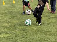 IMG_6020