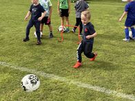 IMG_6036